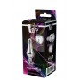 GLEAMING LOVE SILVER PLEASURE PLUG S - Dream Toys