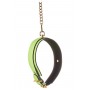 RADIANT COLLAR AND LEASH GLOW IN THE DARK GREEN - Dream Toys