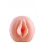 THE GIRL NEXT DOOR SCARLETT - Dream Toys