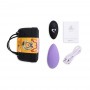 FeelzToys - Panty Vibe Remote Controlled Vibrator Purple - FeelzToys