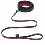 Fifty Shades of Grey - Sweet Anticipation Collar & Lead - Fifty Shades of Grey