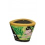 Shunga aromātiska masāžas svece (170 ml) - MASSAGE CANDLE EXOTIC GREEN TEA 170ML - Shunga