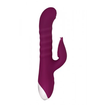 EVOLVED LOVELY LUCY PURPLE EVOLVED LOVELY LUCY PURPLE