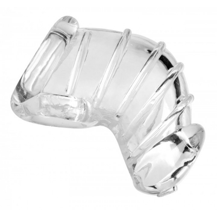 Detained Soft Body Chastity Cage - Master Series