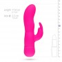 Mad Rabbit Vibrator - Pink - Easytoys Vibe Collection