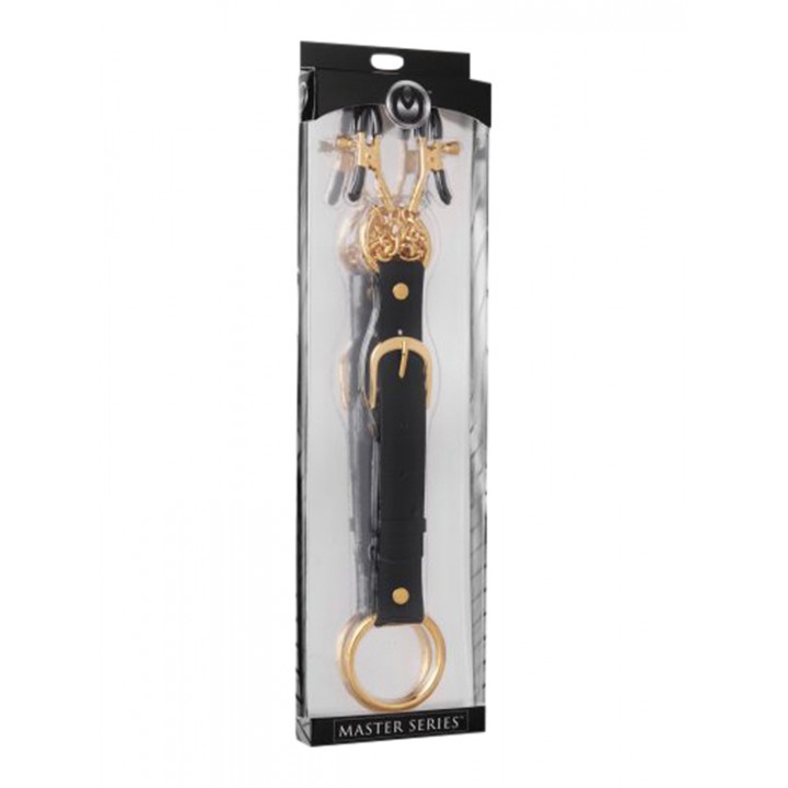 Penitentiary Nipple Clamps and Cock Ring Set - Master Series
