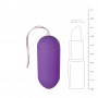 Remote Controllable Vibrating Egg - Purple - Easytoys Mini Vibe Collection