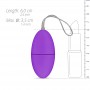 Easytoys Remote Control Vibrating Egg - Purple - Easytoys Mini Vibe Collection