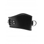 Padded Leather Locking Posture Collar - Strict Leather