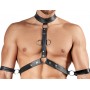 Men's Harness and Pants S