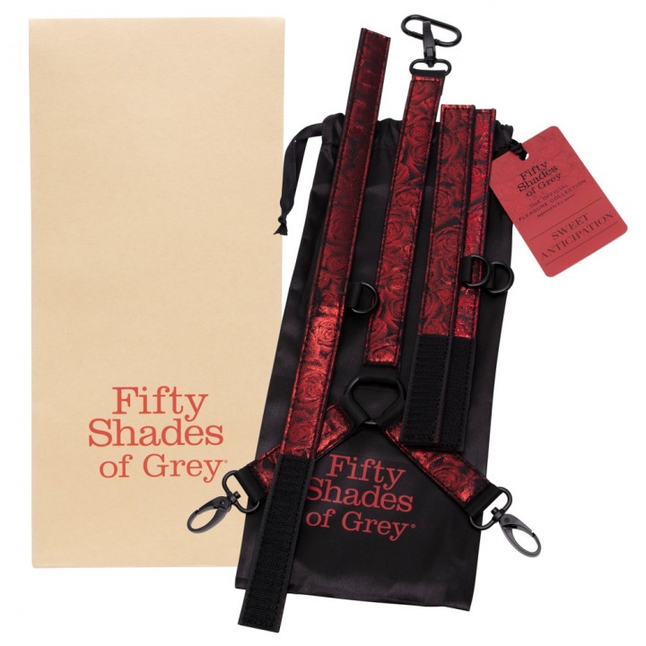 fsog sweet anticipation collar - Fifty Shades of Grey