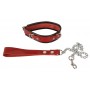Leather Collar and Leash - Wild Thing by Zado