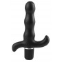 AFC 9-Function Prostate Vibe B - analfantasy collection